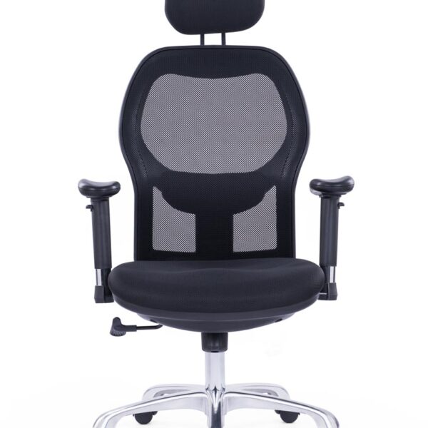 Matrix Executive Office Chair
