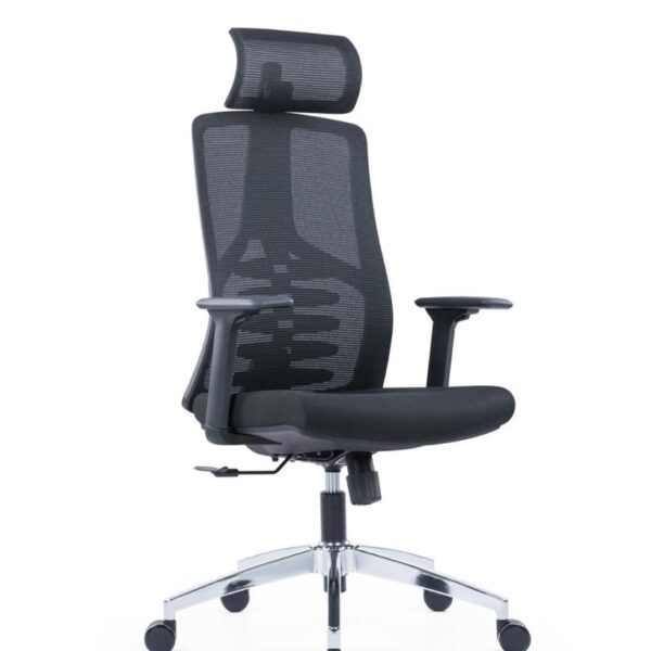 Chromix Ergonomic Chair