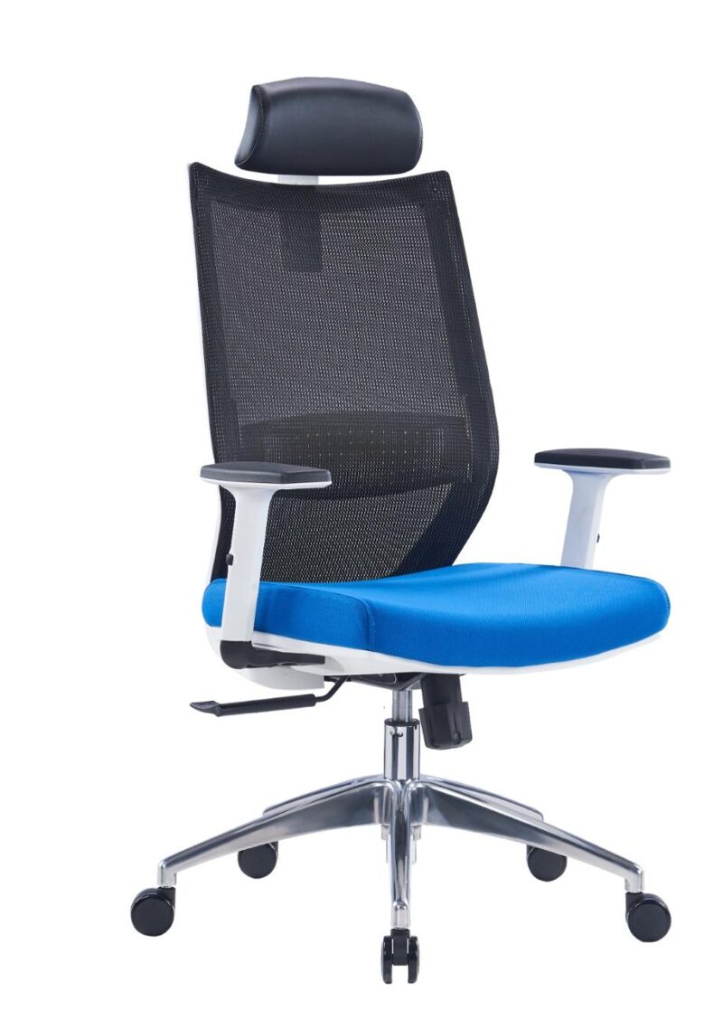 Buy Ergonomic Chairs Dubai – High-Back Office Chairs UAE
